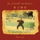 Peter Jaw - Ba Ji Small Frame Routine