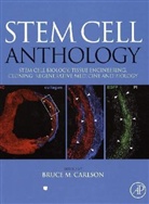 Bruce M. Carlson, Robert Lanza, Robert Carlson Lanza, Bruce M. Carlson, Robert P. Lanza - Stem Cell Anthology