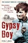 Mikey Walsh - Gypsy Boy
