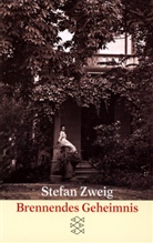Stefan Zweig - Brennendes Geheimnis