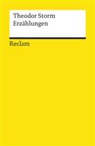 Theodor Storm, Rüdiger Frommholz - Erzählungen