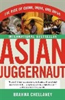 Brahma Chellaney, Chellaney Brahma - Asian Juggernaut