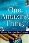 Chitra Banerjee Divakaruni - One Amazing Thing
