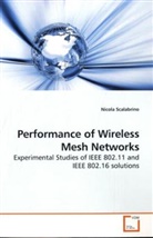 Nicola Scalabrino - Performance of Wireless Mesh Networks