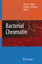 Remus T. Dame, Charles J. Dorman, J Dorman, J Dorman, Remu T Dame, Remus T Dame - Bacterial Chromatin