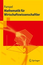 Thorsten Pampel - Mathematik für Wirtschaftswissenschaftler