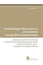 Leonard Müller - Zeitabhängige Phänomene in athermischen Formgedächtnislegierungen