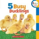 Scholastic, Children's Press - 5 Busy Ducklings (Rookie Toddler)