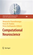 Wanpracha Chaovalitwongse, Pano M Pardalos, Panos M Pardalos, Panos M Pardalos, Panos M. Pardalos, Petros Xanthopoulos - Computational Neuroscience