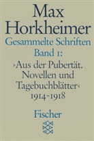 Max Horkheimer, Gunzeli Schmid-Noerr, Gunzelin Schmid-Noerr - Gesammelte Schriften. Bd.1