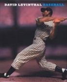 David (PHT)/ Mahler Levinthal, Various, David Levinthal - Baseball