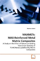 Shahram Amini - MAXMETs: MAX-Reinforced Metal Matrix Composites