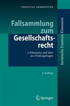 Christian Armbrüster - Fallsammlung zum Gesellschaftsrecht
