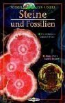 Steine und Fossilien