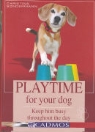Christina Sondermann - Playtime for your dog