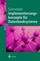 Markus Schneider - Implementierungskonzepte für Datenbanksysteme