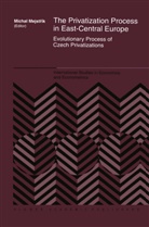 Michal Mejstrik, Michal Mejstrik, Michal Mejstrík, Michal Mejstrmk - The Privatization Process in East-Central Europe