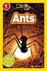 Melissa Stewart - Ants (National Geographic Kids Readers, Level 1)
