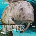 Brian Skerry - Face to Face with Manatees