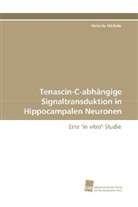 Melanie Michele - Tenascin-C-abhängige Signaltransduktion in Hippocampalen Neuronen