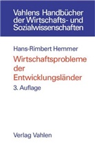 Hans-R Hemmer, Hans-Rimbert Hemmer - Wirtschaftsprobleme der Entwicklungsländer