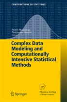 Pietr Mantovan, Pietro Mantovan, Piercesare Secchi, Pietro Mantovan, Piercesare Secchi - Complex Data Modeling and Computationally Intensive Statistical Methods
