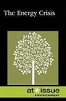 Lisa Frohnapfel-krueger, Lisa Krueger - The Energy Crisis