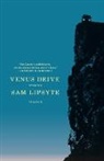 Sam Lipsyte - Venus Drive