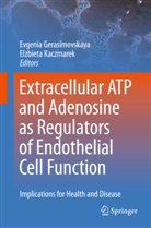 Evgeni Gerasimovskaya, Evgenia Gerasimovskaya, Kaczmarek, Kaczmarek, Elzbieta Kaczmarek - Extracellular ATP and adenosine as regulators of endothelial cell function