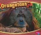 Joanne Mattern, Gail Saunders-Smith - Orangutans