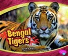 Lyn A. Sirota, Lyn A./ Saunders-Smith Sirota, Lyn Ann Sirota, Gail Saunders-Smith - Bengal Tigers