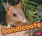 Lyn A. Sirota, Lyn A./ Saunders-Smith Sirota, Gail Saunders-Smith - Bandicoot