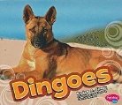 Lyn A. Sirota, Lyn A./ Saunders-Smith Sirota, Gail Saunders-Smith - Dingoes