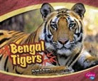 Lyn A Sirota, Lyn A. Sirota, Lyn A./ Saunders-Smith Sirota, Lyn Ann Sirota, Gail Saunders-Smith - Bengal Tigers