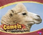 Lyn A. Sirota, Lyn Ann Sirota, Gail Saunders-Smith - Camels