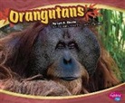 Joanne Mattern, Joanne/ Saunders-Smith Mattern, Gail Saunders-Smith - Orangutans