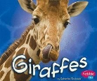 Catherine Ipcizade, Gail Saunders-Smith - Giraffes