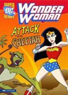 Mason, Jane Mason, Jane B Mason, Jane B. Mason, Dan Schoening, William Moulton Marston - Wonder Woman: Attack of the Cheetah