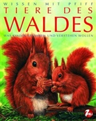 Sandrine Lefebvre - Tiere des Waldes