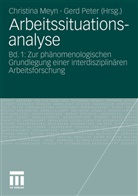 Christin Meyn, Christina Meyn, Peter, Peter, Gerd Peter - Arbeitssituationsanalyse. Bd.1
