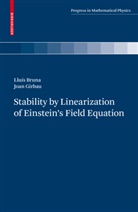 Llu&iacute; Bruna, Llu&iacute;s Bruna, Joan Girbau - Stability by Linearization of Einstein's Field Equation