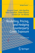 Joh Aquilina, John Aquilina, Giovann Cesari, Giovanni Cesari, Niels Charpillon, Zlatko Filipovic... - Modelling, Pricing, and Hedging Counterparty Credit Exposure