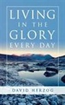 David Herzog - Living in the Glory Every Day