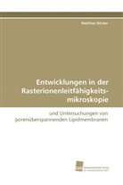 Matthias Böcker - Entwicklungen in der Rasterionenleitfähigkeits-mikroskopie