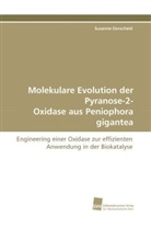 Susanne Dorscheid - Molekulare Evolution der Pyranose-2- Oxidase aus Peniophora gigantea