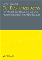 Ulrich Siegrist - Der Resilienzprozess