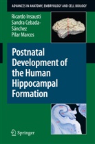 Sandr Cebada-S&aacute;nchez, Sandra Cebada-S&aacute;nchez, Ricard Insausti, Ricardo Insausti, P Marcos, Pilar Marcos - Postnatal Development of the Human Hippocampal Formation