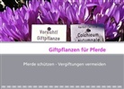 Dietbert Arnold - Giftpflanzen für Pferde