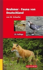 Paul Brohmer, Matthias Schaefer, Matthias Schaefer - Brohmer Fauna von Deutschland