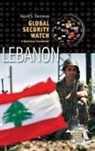 David Sorenson, David S. Sorenson - Global Security Watch Lebanon